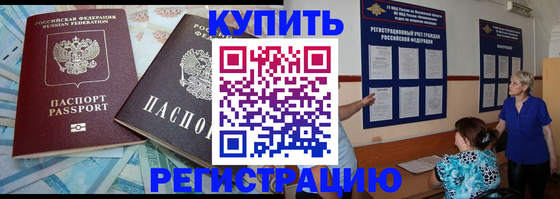 прописка поиск в Королёве